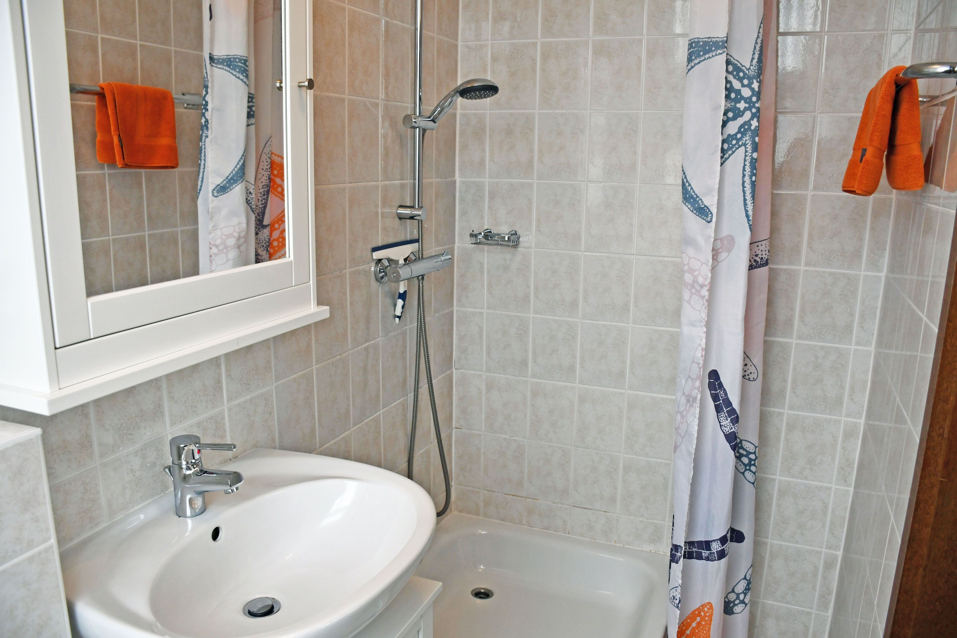 A bathroom with a sink, shower, and a mirror above the sink.