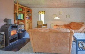 Fernseher, Kamin, DVD-Player