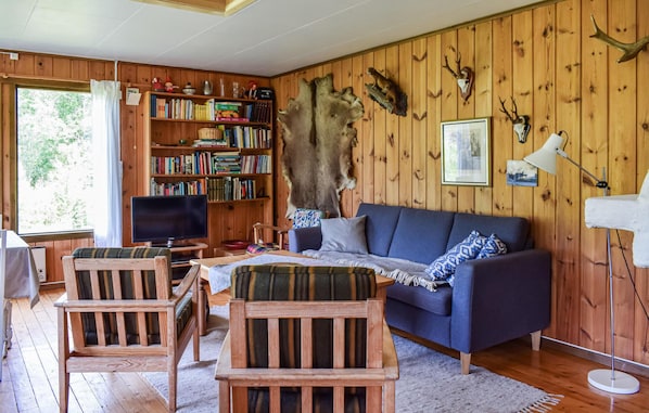 TV, fireplace, DVD player
