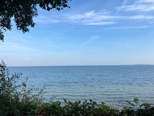 Unclassified image, 1 of 19, button