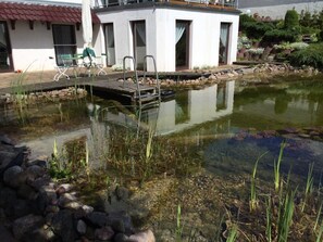 Imagen sin descripción, 4 de 7, botón