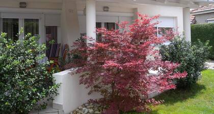 Holiday home with terrace