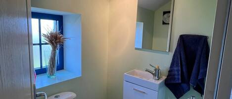 Un bagno piccolo con il water, un lavandino e una finestra.