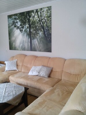 Fernseher