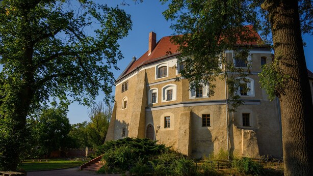 Un grand bâtiment historique, doté de nombreuses fenêtres et d’un toit rouge, entouré d’arbres et bordé d’une zone pavée.