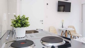 Una cocina moderna con dos hornillas, un lavamanos blanco y una planta en maceta.