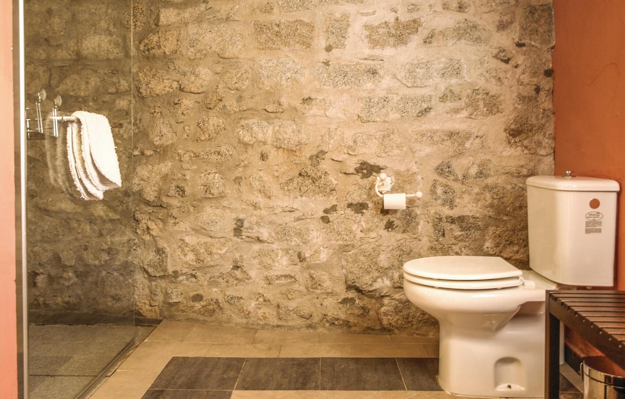 A bathroom with a stone wall, a toilet, a shower area, and a towel rack.