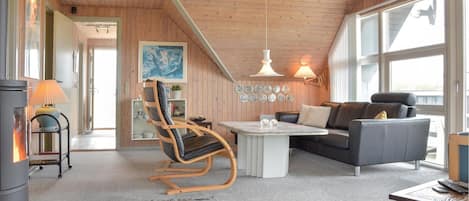 Televisión, chimenea, reproductor de DVD