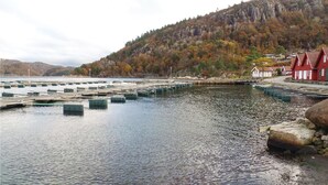 Zona costera con muelle, barcos y edificios rojos.