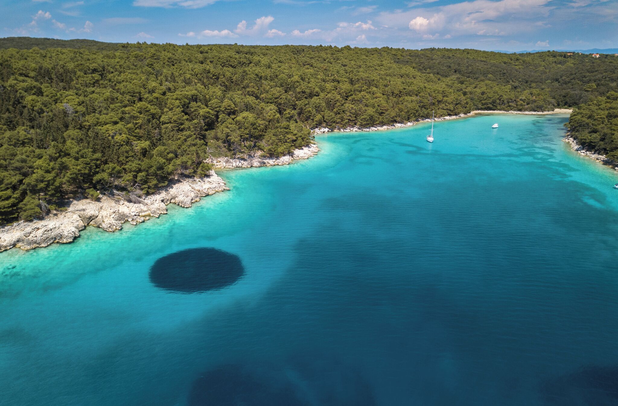 An aerial view of a turquoise coastal area with dense forest and clear waters.