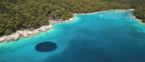 An aerial view of a turquoise coastal area with dense forest and clear waters.