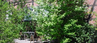 Apartment 5 Ehlers - Apartments Ehlers-Bastelstudio