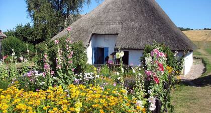 Apartment 3 Ostseehus with terrace - Holiday apartments on the Baltic Sea beach with