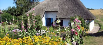 Apartment 3 Ostseehus with terrace - Holiday apartments on the Baltic Sea beach with