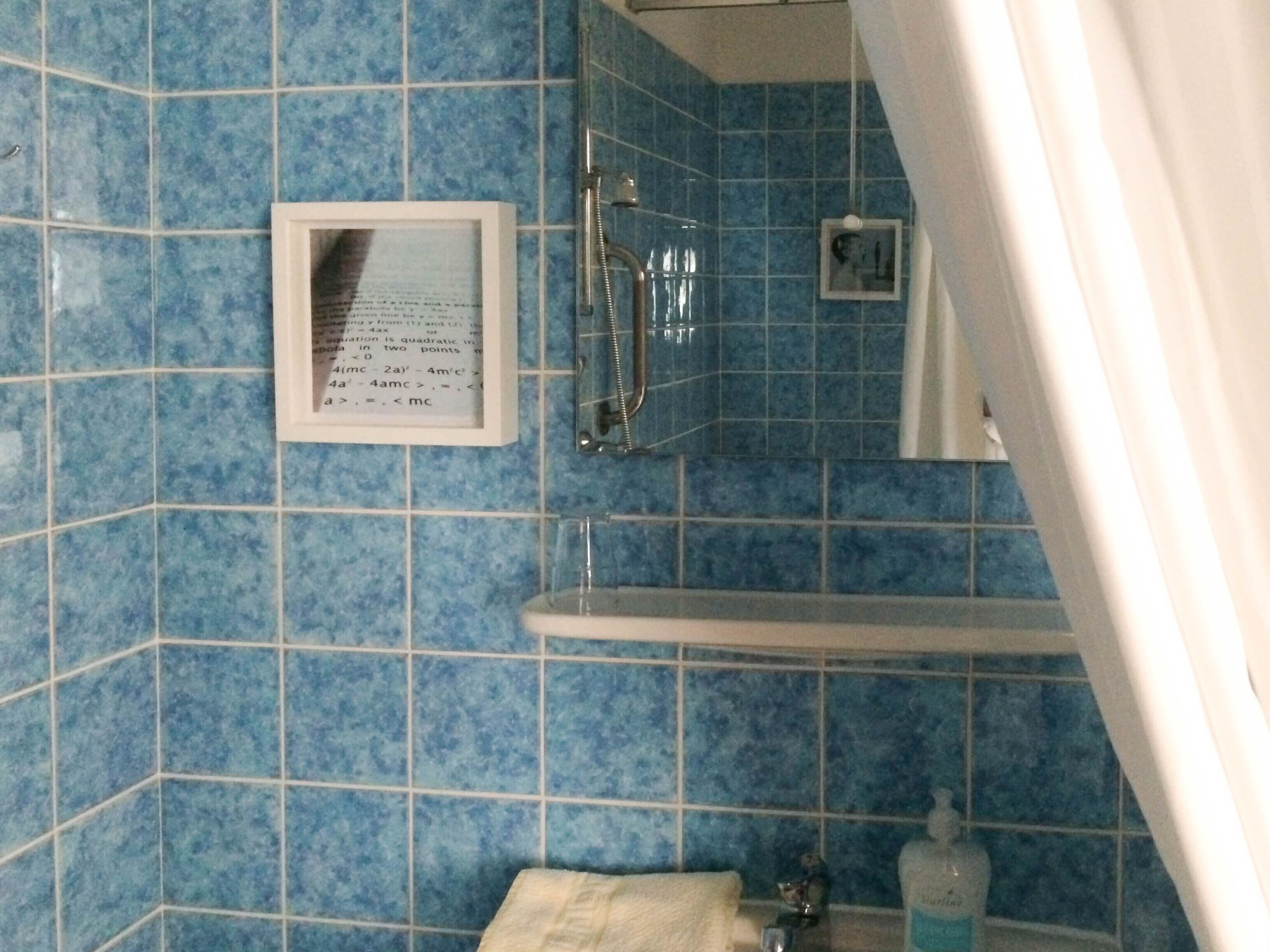 A bathroom with blue tiles, a framed equation, a shower, and a sink.