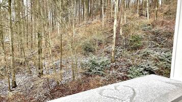 A view from a window overlooking a forested area with snow on the ground.