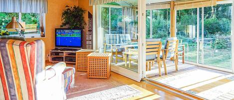 TV, fireplace, DVD player