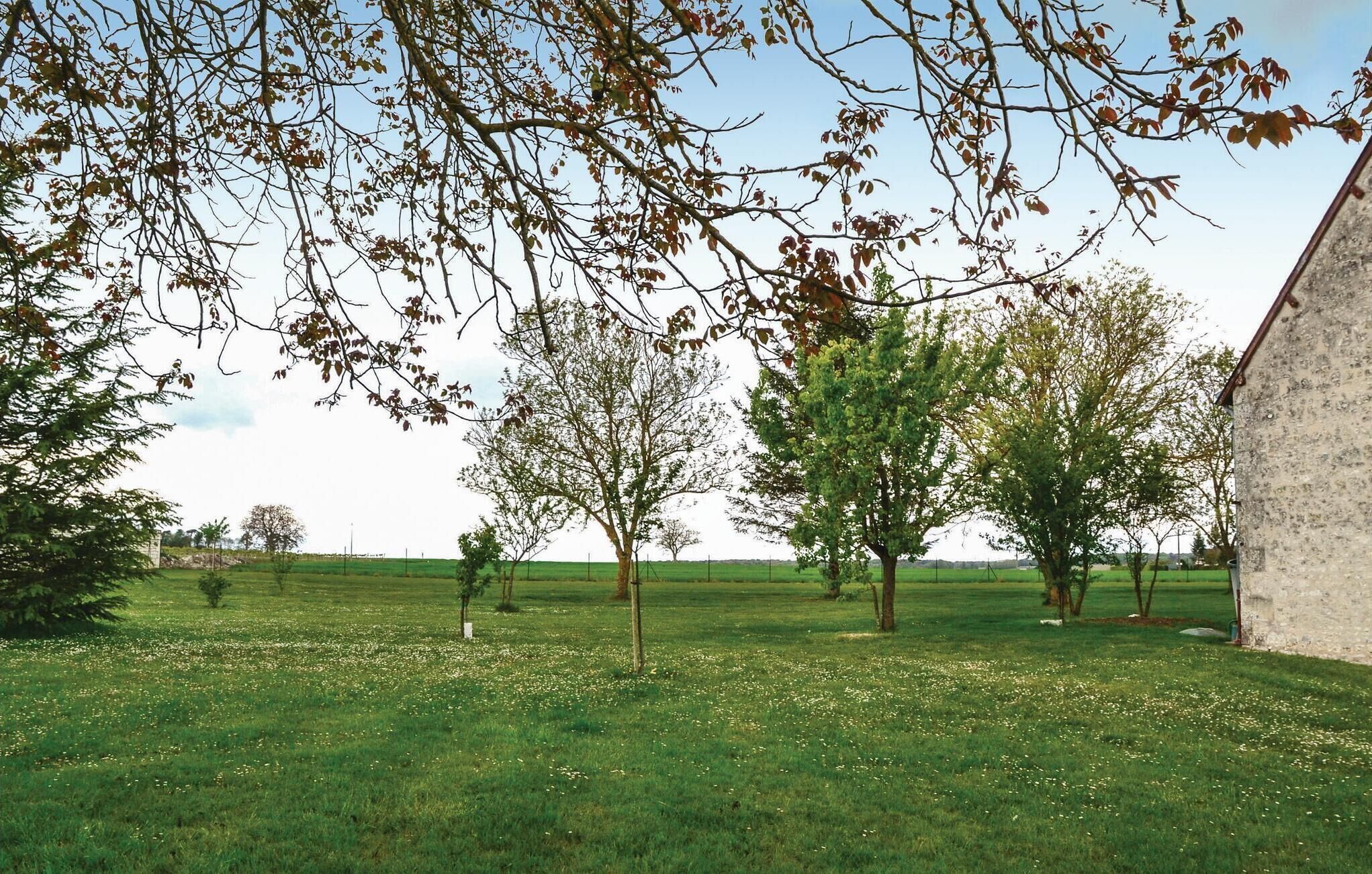 A grassy field with trees and a building.