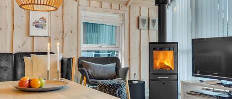 電視、壁爐、DVD 播放機