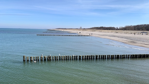 A beach with wooden posts in the water, a sandy shore, and a clear sky. - Apartment 3 Shell - House Birkenallee / Reckleben GM 69705 (Graal-Müritz)