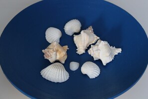 Imagem sem classificação, 5 de 37, botão