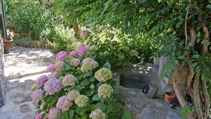 A garden with hydrangea plants, stone walls, and a rustic outdoor setting.