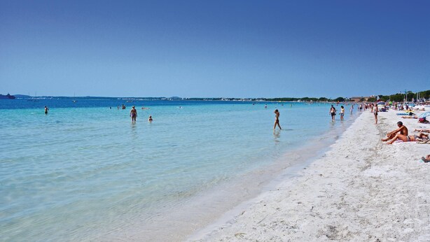 A beach with clear blue water, people swimming and sunbathing. - Lovely home in Alcúdia (Alcúdia)