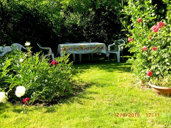 Unclassified image, 1 of 11, button