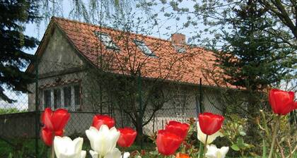 Ferienhaus Schöne