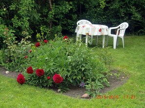 Unclassified image, 3 of 11, button