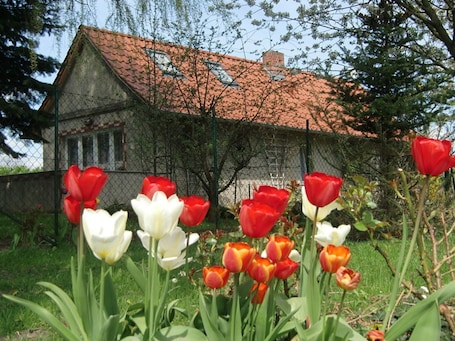Property grounds. Vacation cottage Schöne, Germany
