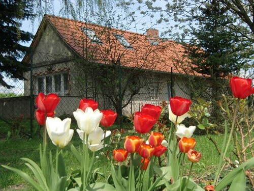 Ferienhaus Schöne, Deutschland