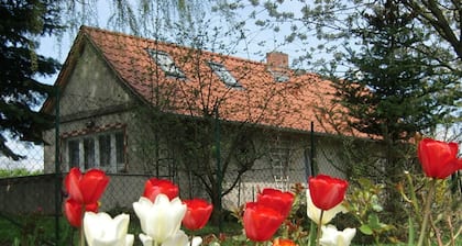 Ferienhaus Schöne, Deutschland