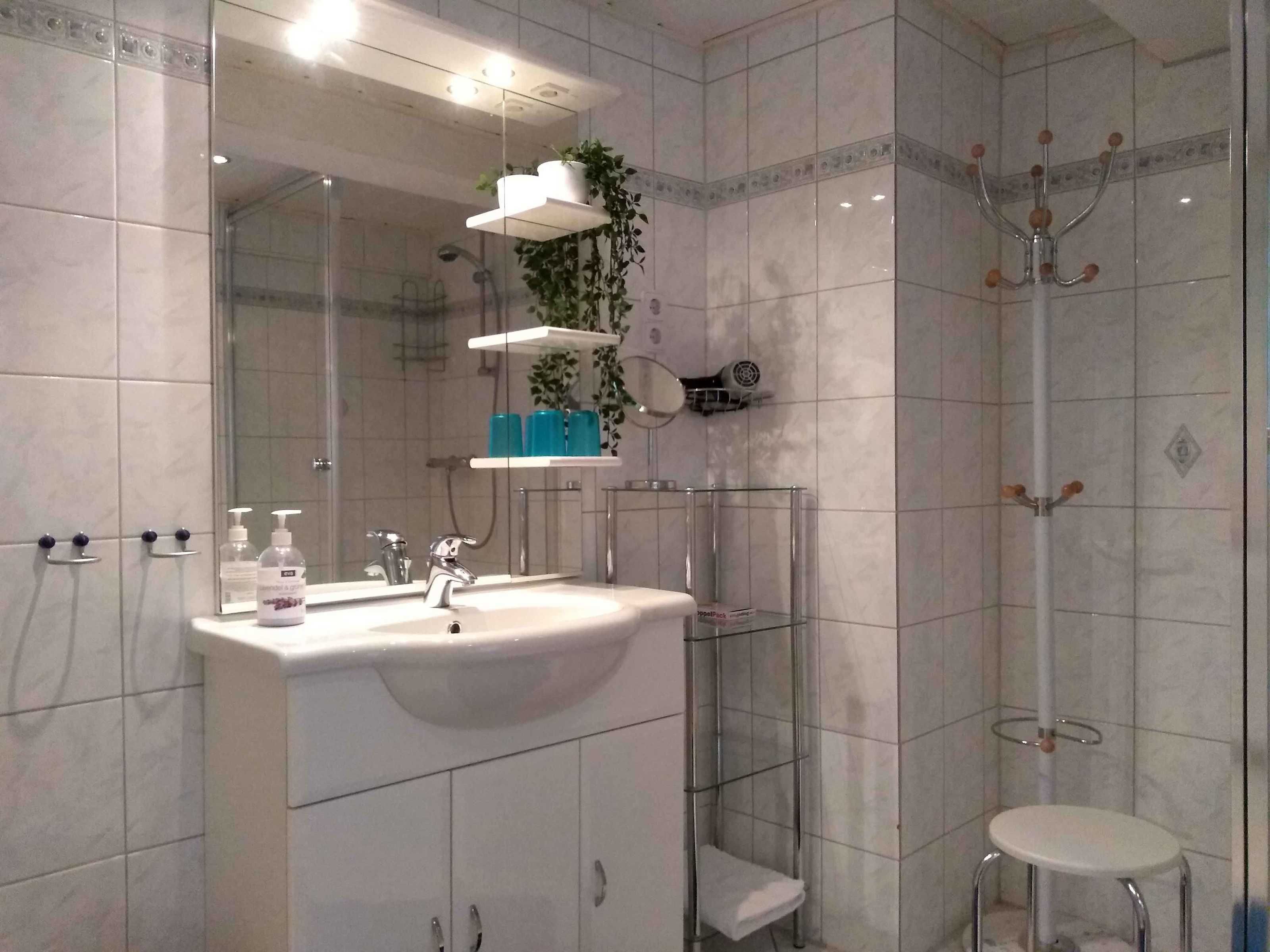 Shower, hair dryer, towels