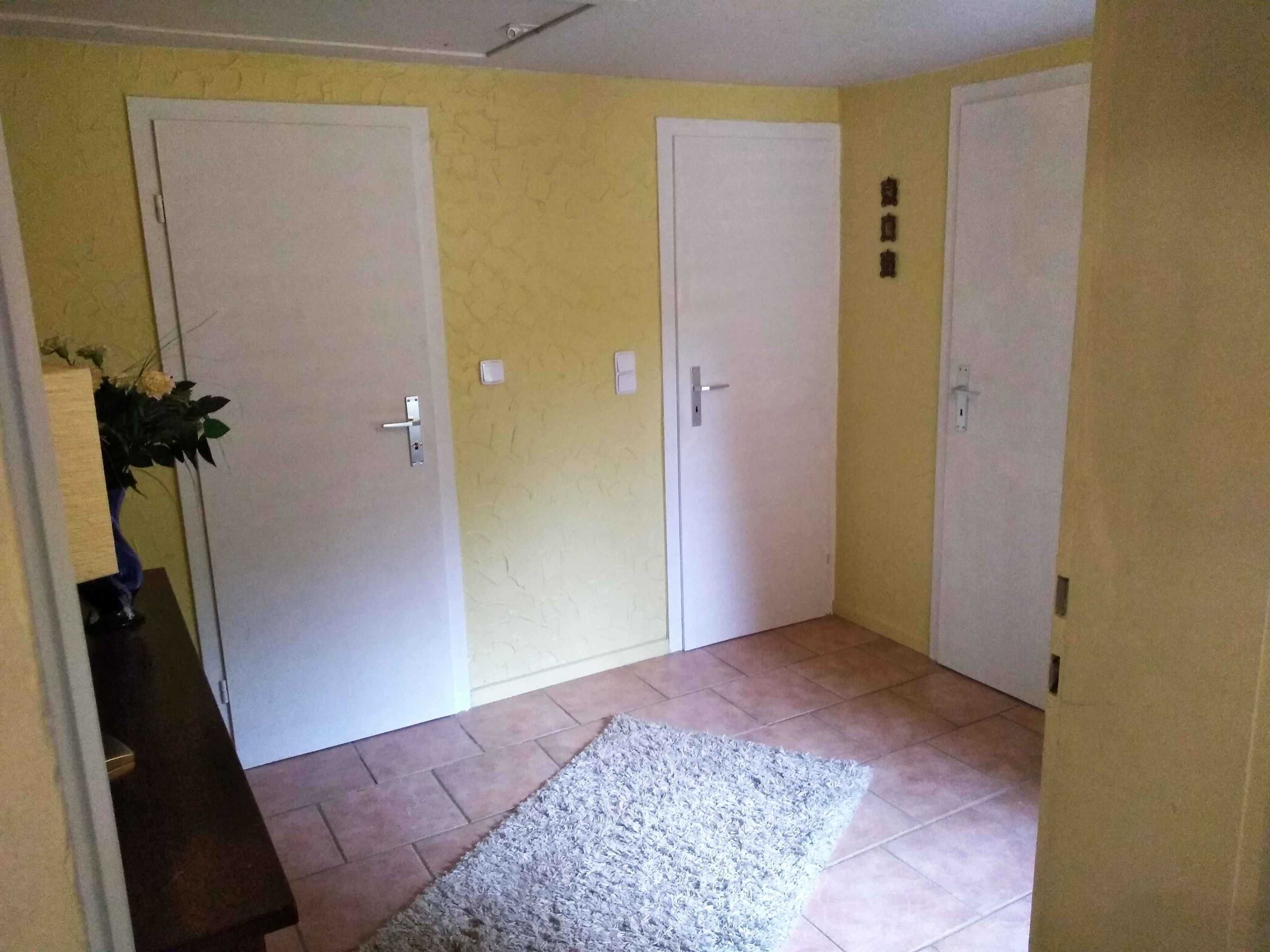A hallway with two white doors, a grey rug, and a plant on a wooden cabinet.