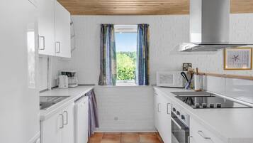 Frigorífico, placa de cocina, lavavajillas y cafetera o tetera