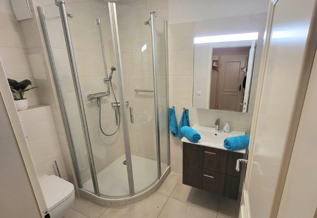 A modern bathroom with a glass-enclosed shower, a white toilet, a sink with a mirror, and a dark wooden cabinet.