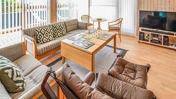 Télévision, cheminée, lecteur de DVD