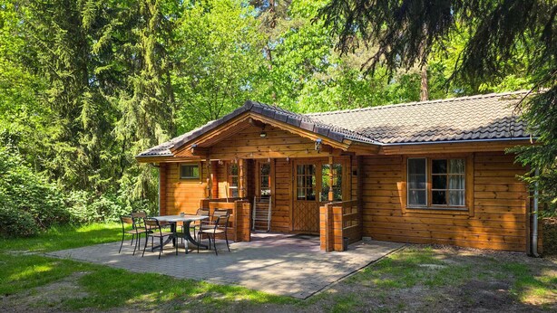 A wooden cabin with a tiled roof, a porch with a table and chairs, and a view of a forested area. - Cozy home in Neede with sauna (Neede)