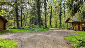 A rustic cabin with a gravel driveway leading to a wooden structure. - Cozy home in Neede with sauna (Neede)
