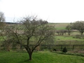 Imagen sin descripción, 4 de 15, botón