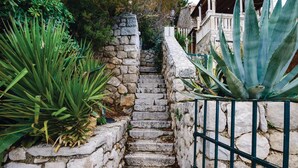 Eine Steintreppe führt zu einem Gebäude, umgeben von großen Agavenpflanzen.