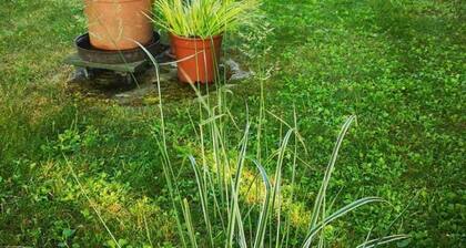 Bungalow 1 - Rügen-Fewo 161