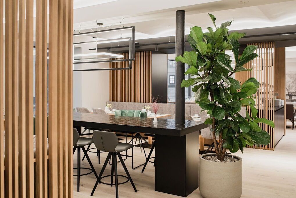 Un espace repas moderne avec une table noire, des chaises et une plante en pot.