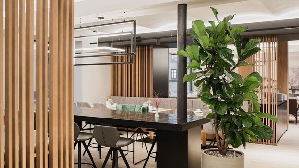 A modern dining area with a black table, chairs, and a potted plant. - Double Classic Plus - Hotel Goldenes Schiff (Bad Ischl)