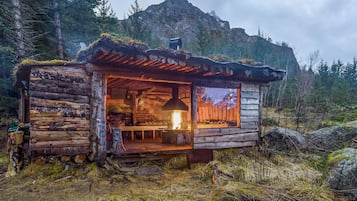 Ulkopuoli