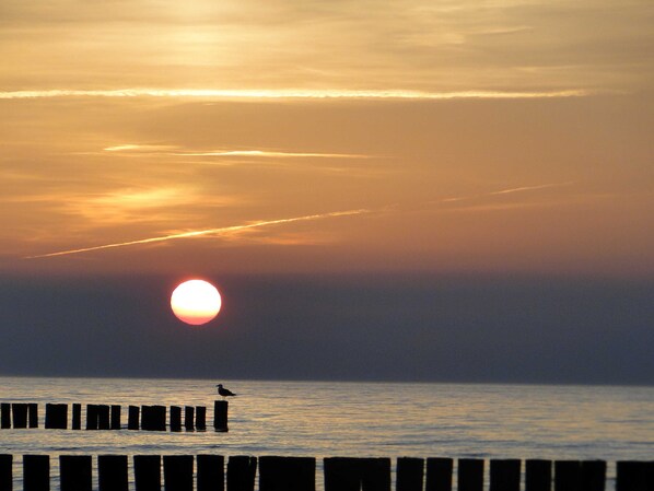 Unclassified image, 1 of 18, button