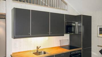 KĂŒhlschrank, Herdplatte, GeschirrspĂŒler