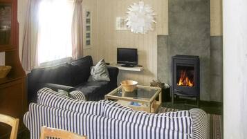 Fernseher, Kamin, DVD-Player