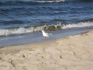 Imagen sin descripción, 5 de 21, botón